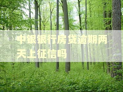 中银银行房贷逾期两天上征信吗 中银银行房贷逾期两天上征信吗