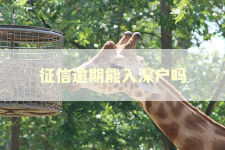 征信逾期能入深户吗 征信逾期能入深户吗
