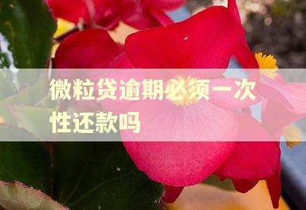 微粒贷逾期必须一次性还款吗