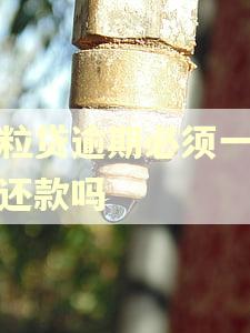 微粒贷逾期必须一次性还款吗 微粒贷逾期必须一次性还款吗