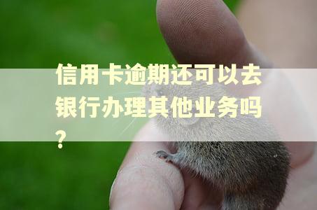 信用卡逾期还可以去银行办理其他业务吗?