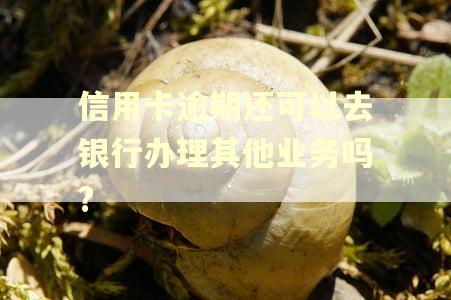 信用卡逾期还可以去银行办理其他业务吗? 信用卡逾期还可以去银行办理其他业务吗?