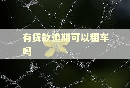 有贷款逾期可以租车吗 有贷款逾期可以租车吗