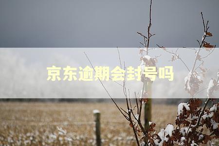 京东逾期会封号吗