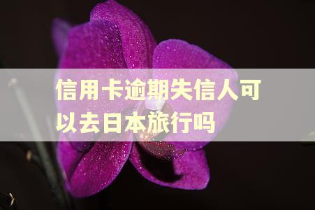 信用卡逾期失信人可以去日本旅行吗 信用卡逾期失信人可以去日本旅行吗