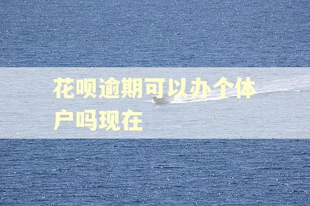 花呗逾期可以办个体户吗现在