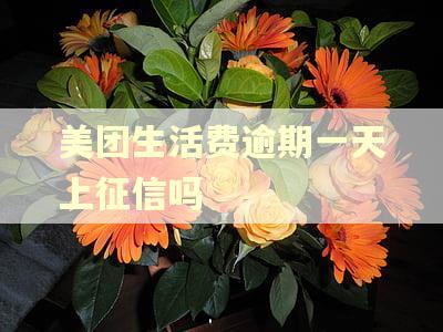 美团生活费逾期一天上征信吗