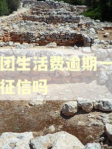 美团生活费逾期一天上征信吗