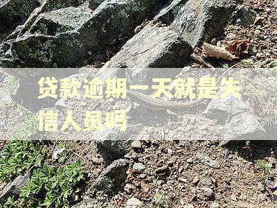 贷款逾期一天就是失信人员吗