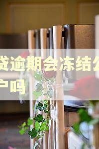 网贷逾期会冻结公司帐户吗