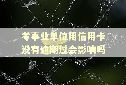 考事业单位用信用卡没有逾期过会影响吗