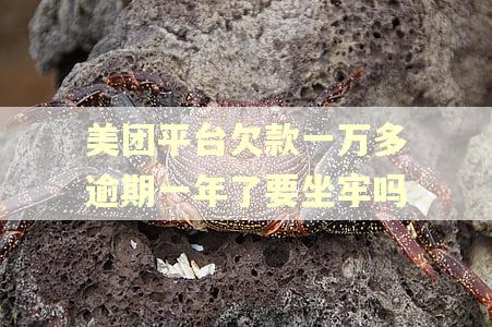 美团平台欠款一万多逾期一年了要坐牢吗