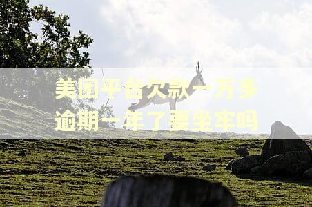 美团平台欠款一万多逾期一年了要坐牢吗