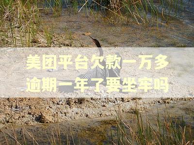 美团平台欠款一万多逾期一年了要坐牢吗 美团平台欠款一万多逾期一年了要坐牢吗