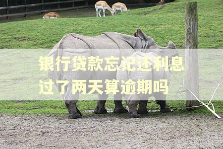 银行贷款忘记还利息过了两天算逾期吗