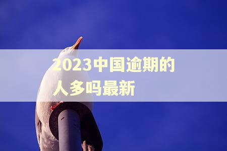 2023中国逾期的人多吗最新