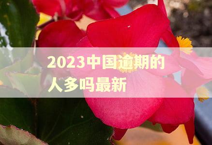 2023中国逾期的人多吗最新