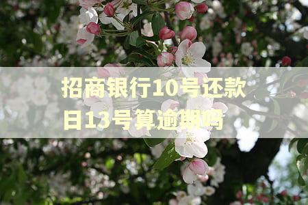 招商银行10号还款日13号算逾期吗