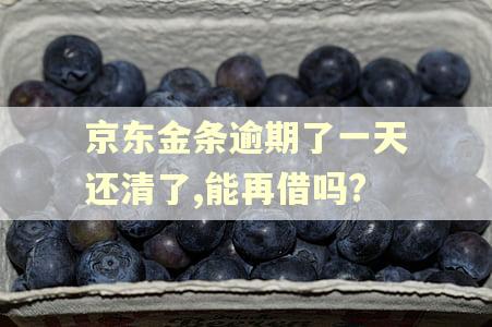 京东金条逾期了一天还清了,能再借吗?