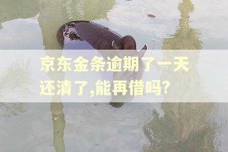 京东金条逾期了一天还清了,能再借吗?