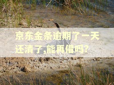 京东金条逾期了一天还清了,能再借吗?