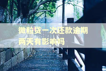微粒贷一次还款逾期两天有影响吗
