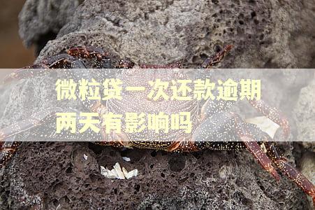 微粒贷一次还款逾期两天有影响吗 微粒贷一次还款逾期两天有影响吗