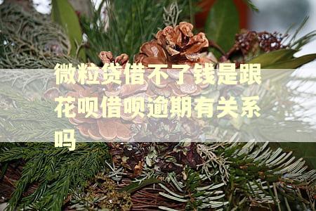 微粒贷借不了钱是跟花呗借呗逾期有关系吗