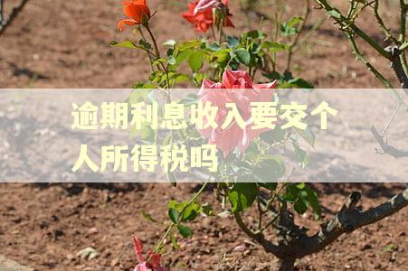 逾期利息收入要交个人所得税吗