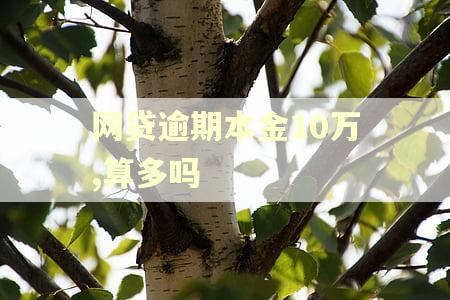 网贷逾期本金10万,算多吗 网贷逾期本金10万,算多吗