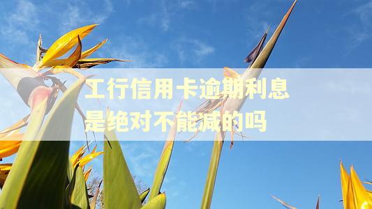 工行信用卡逾期利息是绝对不能减的吗