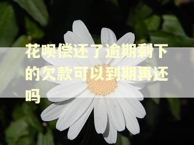 花呗偿还了逾期剩下的欠款可以到期再还吗