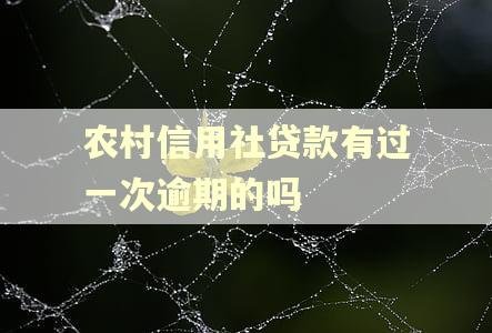 农村信用社贷款有过一次逾期的吗