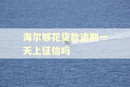 海尔够花贷款逾期一天上征信吗