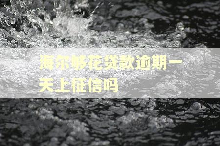 海尔够花贷款逾期一天上征信吗