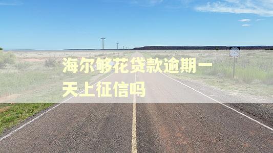 海尔够花贷款逾期一天上征信吗