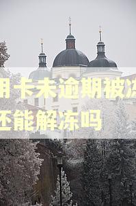 信用卡未逾期被冻结了还能解冻吗