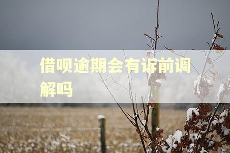 借呗逾期会有诉前调解吗
