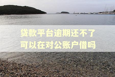 贷款平台逾期还不了可以在对公账户借吗