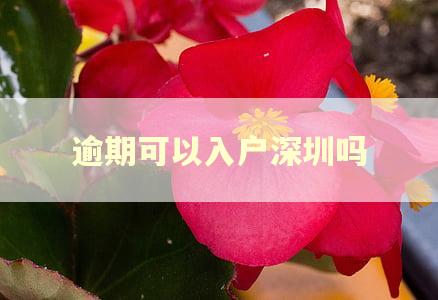 逾期可以入户深圳吗