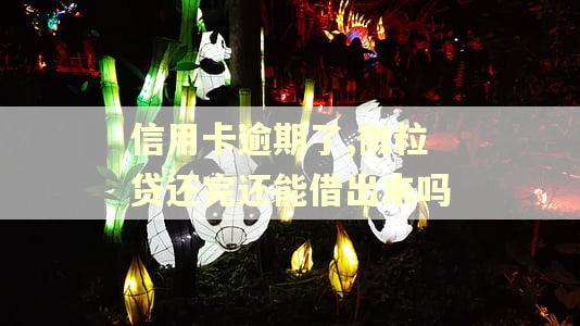 信用卡逾期了,微粒贷还完还能借出来吗