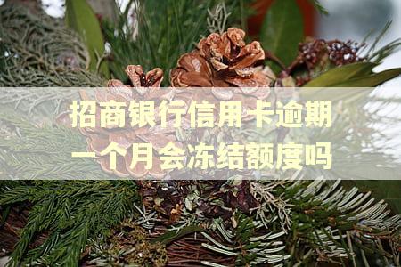 招商银行信用卡逾期一个月会冻结额度吗