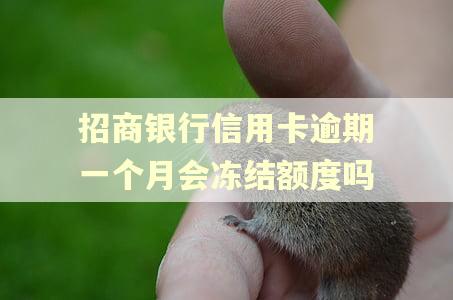 招商银行信用卡逾期一个月会冻结额度吗