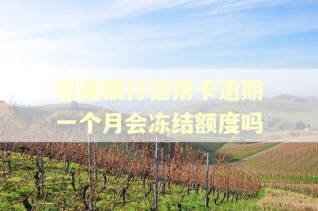 招商银行信用卡逾期一个月会冻结额度吗