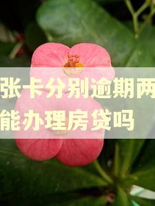 两张卡分别逾期两个月能办理房贷吗