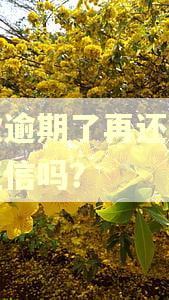 贷款逾期了再还上影响征信吗？