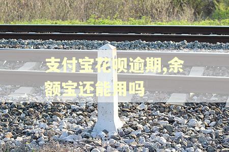 支付宝花呗逾期,余额宝还能用吗