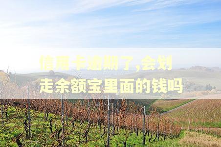 信用卡逾期了,会划走余额宝里面的钱吗