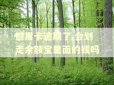 信用卡逾期了,会划走余额宝里面的钱吗